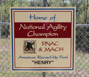 Agility Dog National Champion